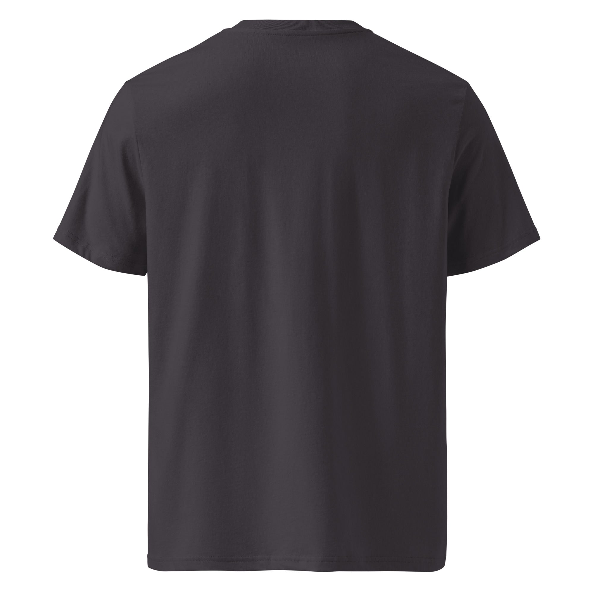 Sunshine Project Brighter Days Ahead mental health tee in anthracite — back view