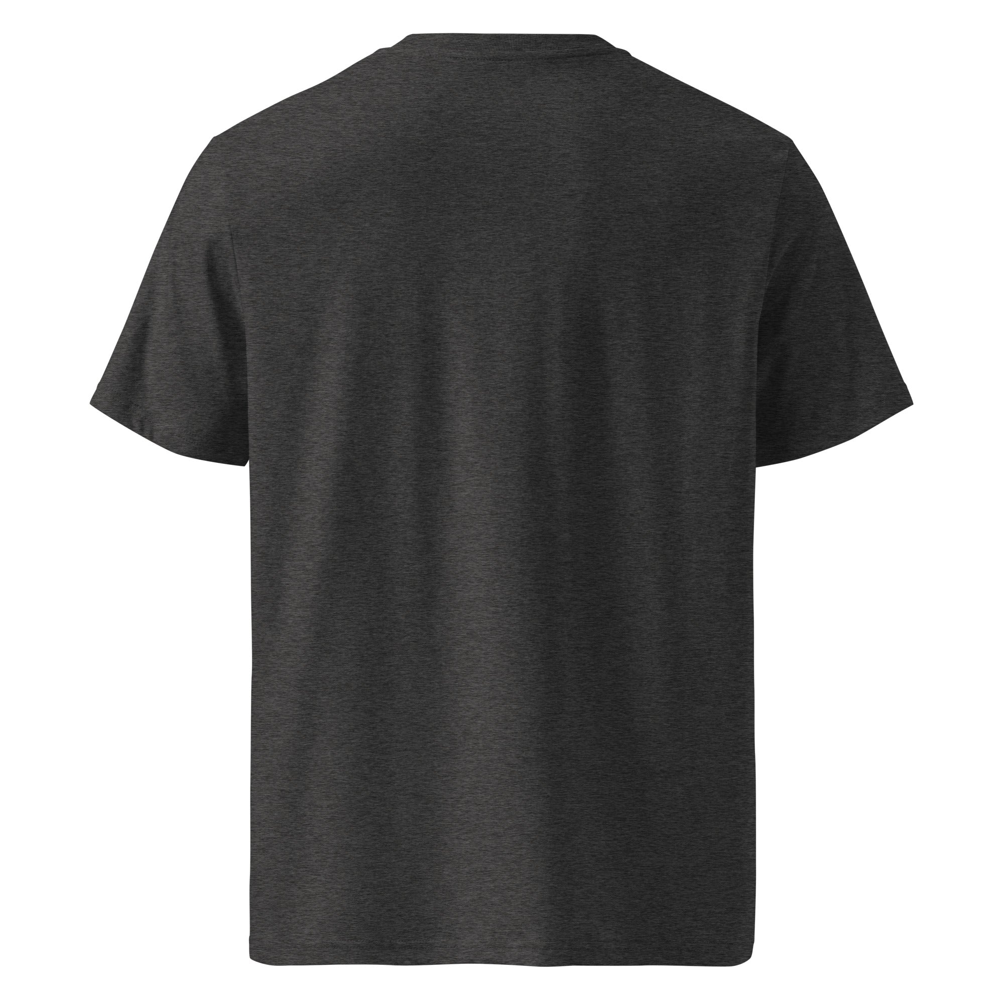Sunshine Project Brighter Days Ahead mental health tee in dark heather grey — back view