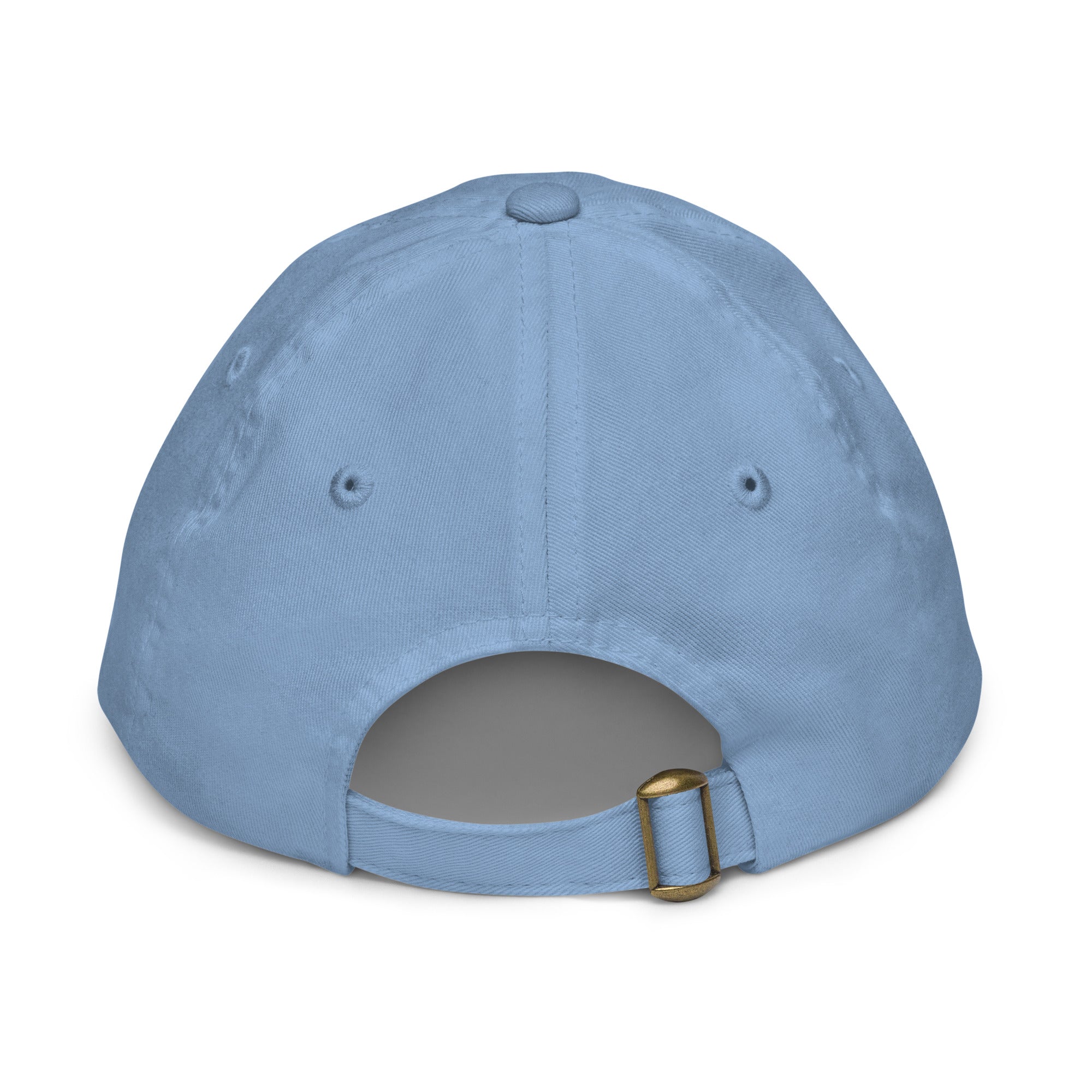 The Sunshine Project youth baseball cap in Blue, back view
